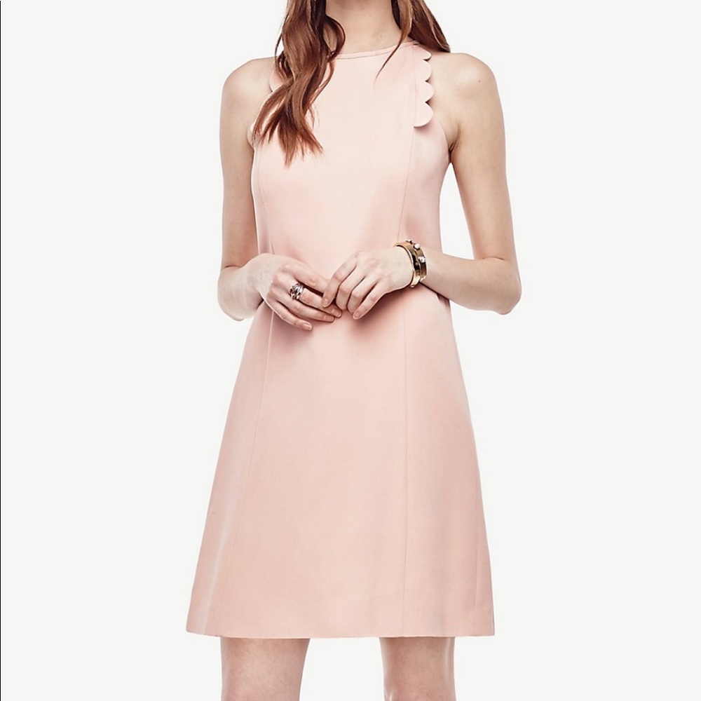 Ann Taylor Light Pink Scallop Shift Dress Size 4